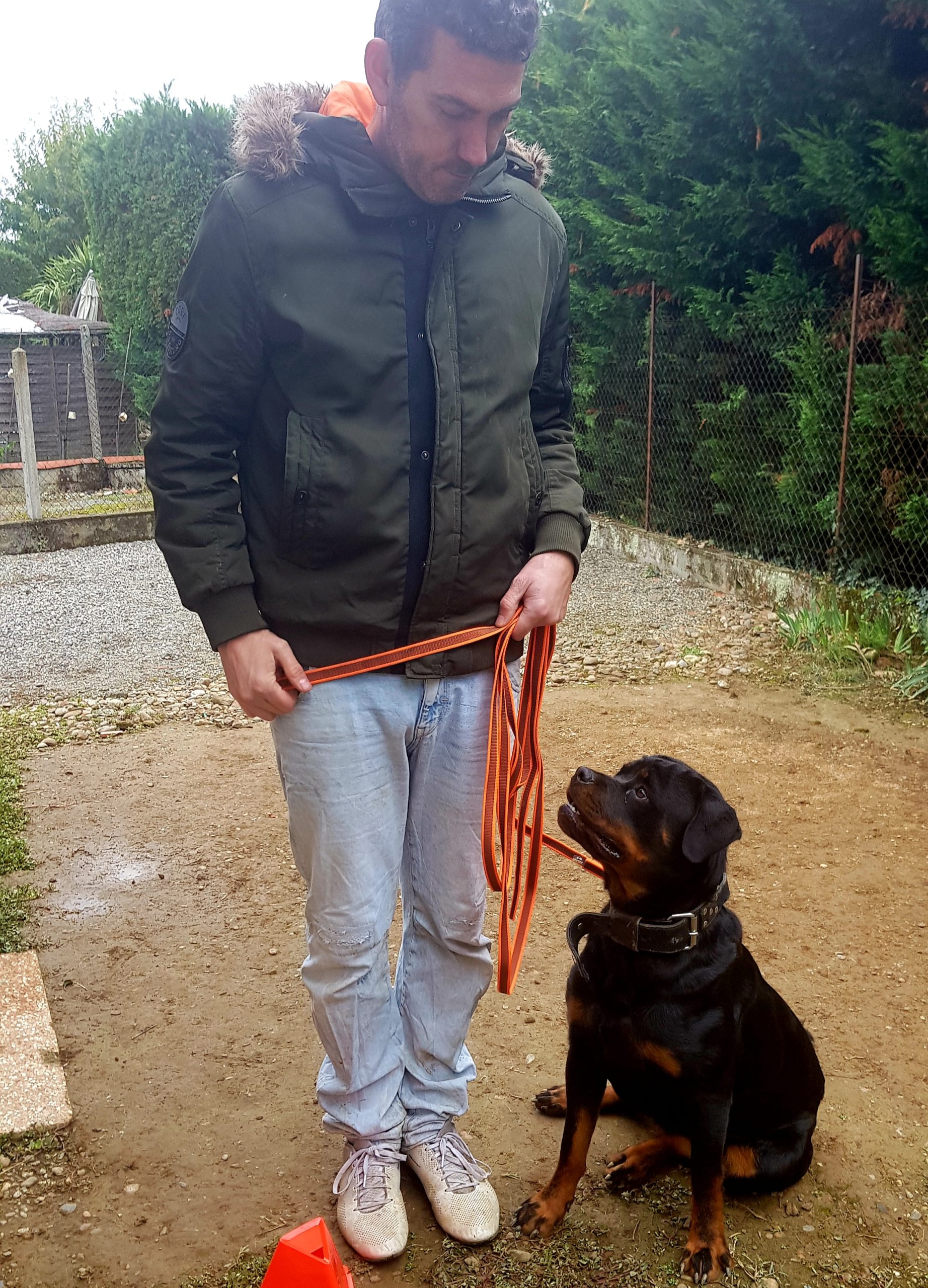 Educateur canin comportementaliste à Toulouse - Chien Au Top
